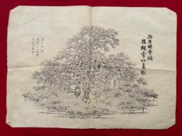 【木版刷】播磨国曽祢　後継霊松真図