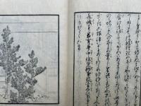 円戒国師画詞伝　6巻3冊揃