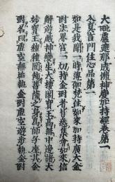 【高野版】大毘盧遮那成仏神変加持経　巻第一