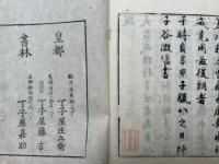 菩薩戒経義疏会本　乾坤2冊揃　最治