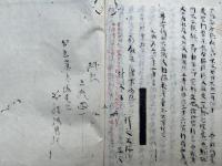 【写本】大疏第三重見聞記