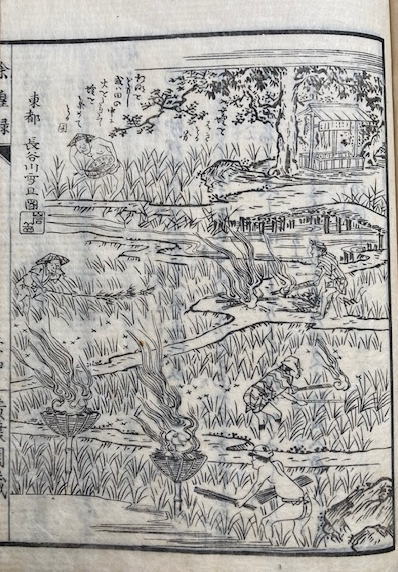 除蝗録 全 鯨図入 絵入(大蔵永常) / 古本、中古本、古書籍の通販