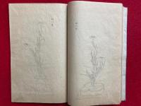 四季燕子芲之図　絵入