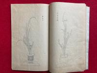 四季燕子芲之図　絵入