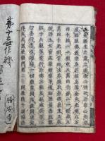 阿弥陀十疑論