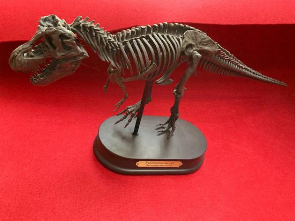 フィギュア】スケルトンモデル ティラノサウルス 骨格モデル 1 フィギュア】スケルトンモデル ティラノサウルス 骨格モデル 1