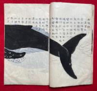 【写本】鯨志　絵入