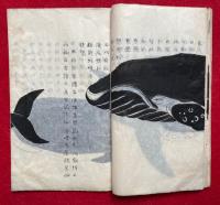 【写本】鯨志　絵入