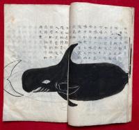 【写本】鯨志　絵入