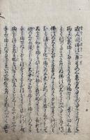 見聞独歩行