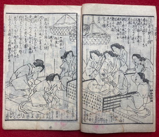 高橋阿伝夜叉譚 8編下の巻 木版画入(仮名垣魯文著・守川周重画
