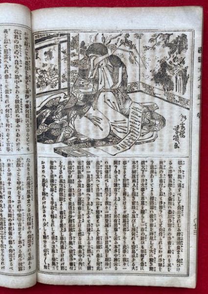 護国女太平記 今古実録 上下合1冊 絵入(芳幾画) / うたたね文庫