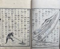 訓蒙　窮理図解　初編　3巻3冊揃　絵入