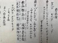 【写本】真言密教咒法次第（仮）　2帖揃　（大日如来咒・長命福寿咒・除一切災難真言・悪病除・阿吨薄倶明王太元師咒ほか）