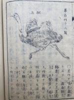 登高自卑　3巻4冊揃　絵入