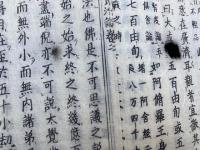護法資治論　10巻10冊揃