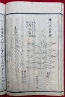 四季草　4巻7冊揃　絵入