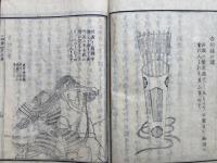 四季草　4巻7冊揃　絵入
