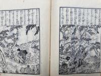 明治新女用文大成　頭書教訓插画　2巻2冊揃　絵入