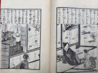 明治新女用文大成　頭書教訓插画　2巻2冊揃　絵入