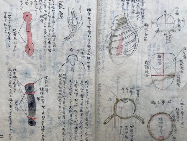 家相大全 図説教授 3巻3冊揃(松浦久信) / うたたね文庫 / 古本