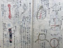 【写本】人体解剖骨格図　一　全頁肉筆図入
