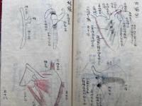【写本】人体解剖骨格図　一　全頁肉筆図入