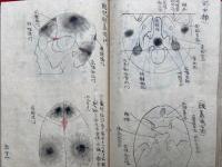 【写本】人体解剖骨格図　一　全頁肉筆図入