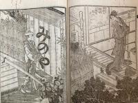 三七全伝南柯夢　6巻2冊揃　絵入