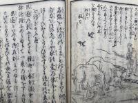 浄土和讃絵抄　2巻合１冊