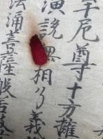 【写本】九條錫杖・般若心経