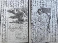 蓮華往生鮮血台　1-10巻合冊　絵入