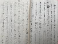 小児活生丸　かんの妙薬　一粒請合薬　（小児諸病総論）