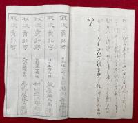 小児活生丸　かんの妙薬　一粒請合薬　（小児諸病総論）
