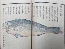 か之の志都枝　2巻2冊揃　絵入　（かしのしづえ・か志乃津枝・橿乃志都枝・かしの志つえ）