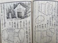 か之の志都枝　2巻2冊揃　絵入　（かしのしづえ・か志乃津枝・橿乃志都枝・かしの志つえ）