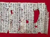 【巻子本】添義初重・添義初重答・添第二重・案義第二重答・智度論法性身指究境法身歟事