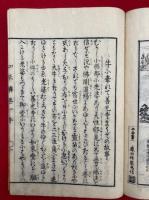 阿弥陀如来絵詞伝　附録共6巻7冊揃　（善光寺如来絵詞伝）　絵入