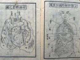 小学人体部分問答　絵入