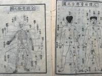 小学人体部分問答　絵入