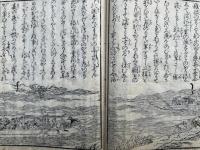 やしなひぐさ　2巻2冊揃　絵入