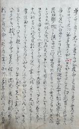 【写本】仏脉導解