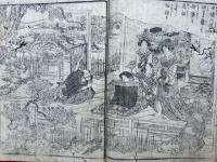 源平外記染解草（２）　絵入