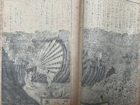 運気発陽万録寿宝玉三世相大全　銅版画入