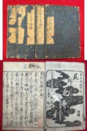 見外白宇瑠璃　5巻５冊揃　絵入　（県外白得利）