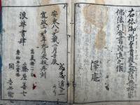不動智