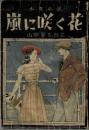 嵐に咲く花 : 少女小説