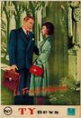 PB0296 映画パンフ「禁断の木の実」 アンリ・ヴェルヌイユ フランソワーズ・アルヌール、フェルナンデル T.Y news 1954
