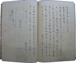 胡同奇話