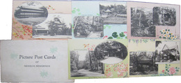 東京市赤坂　Picture Post Cards of NEDZU'S RESIDENCE